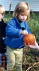PumpkinPatch (282x512, 51.4 kilobytes)