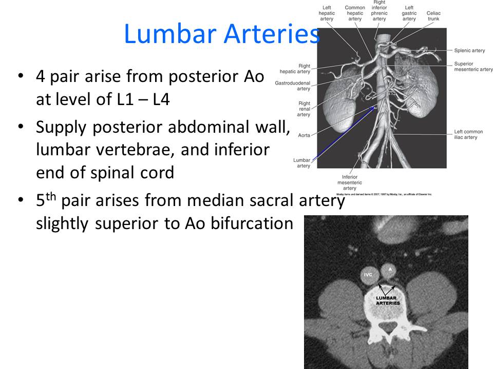 Slide16.JPG