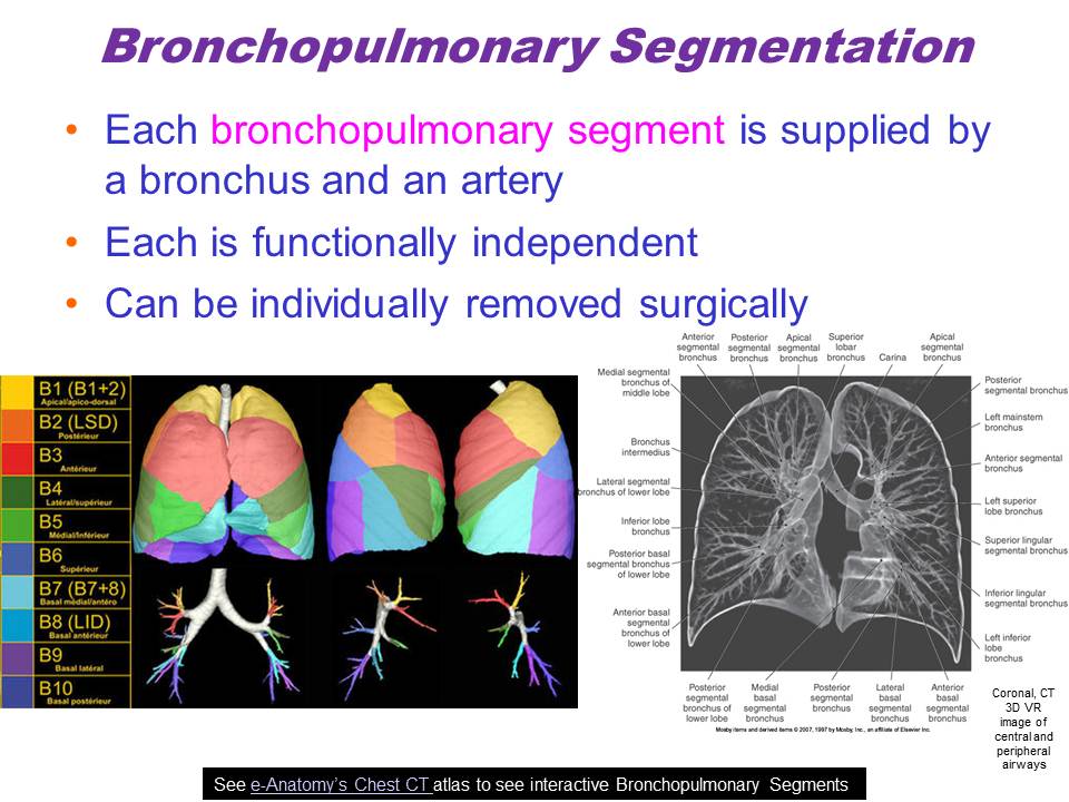 Slide36.JPG