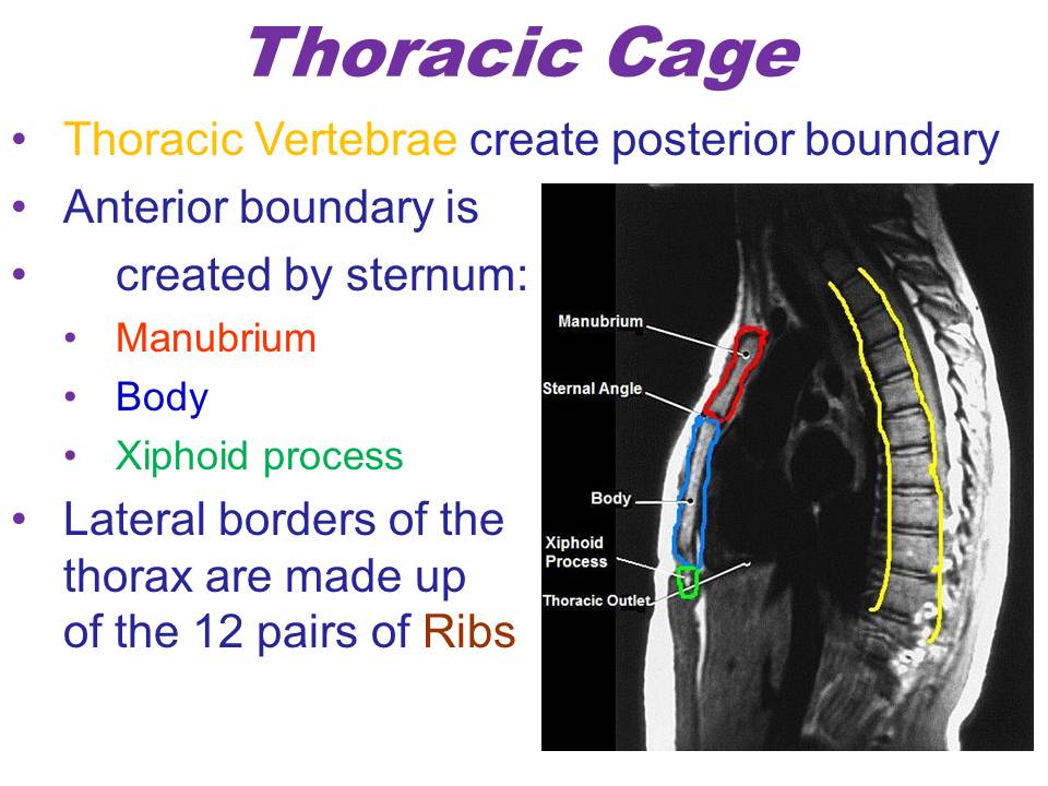 Slide4.JPG