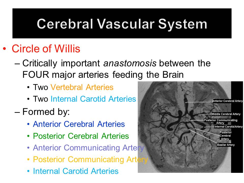 Slide13.JPG