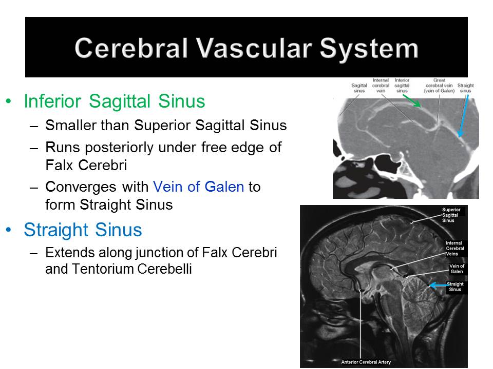 Slide16.JPG