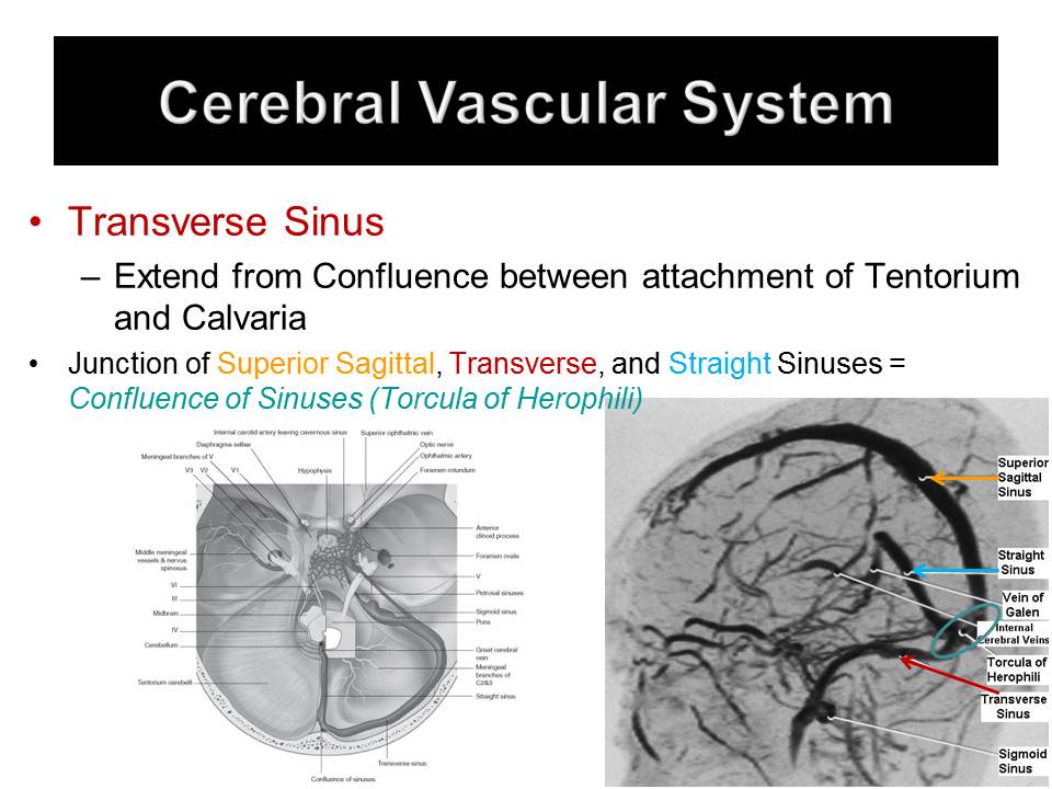 Slide17.JPG