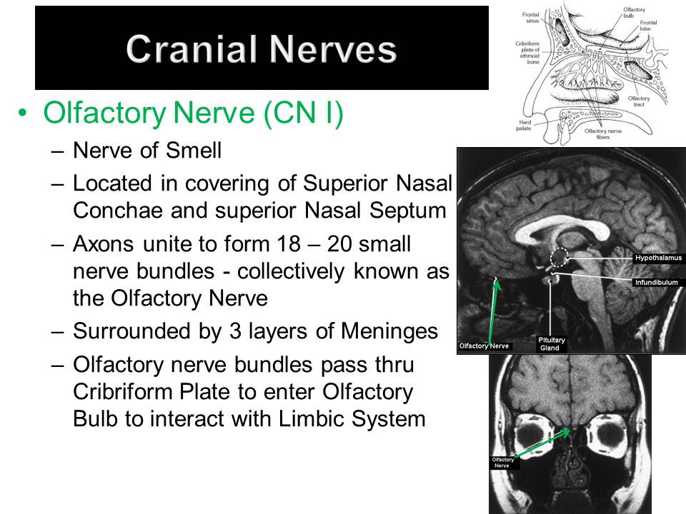 Slide23.JPG