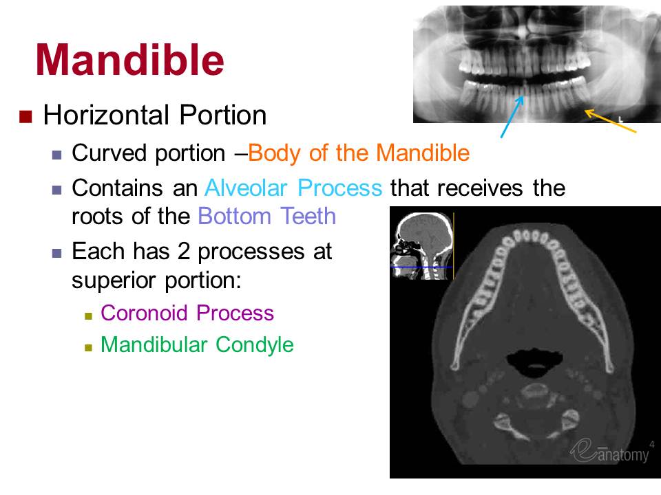 Slide15.JPG