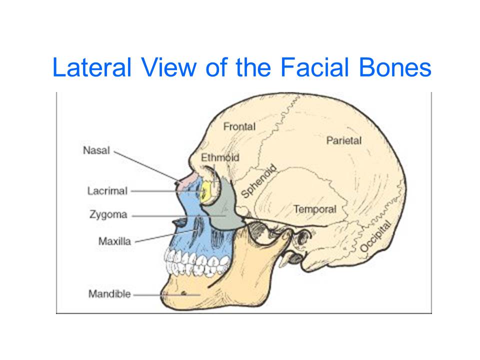 Slide3.JPG