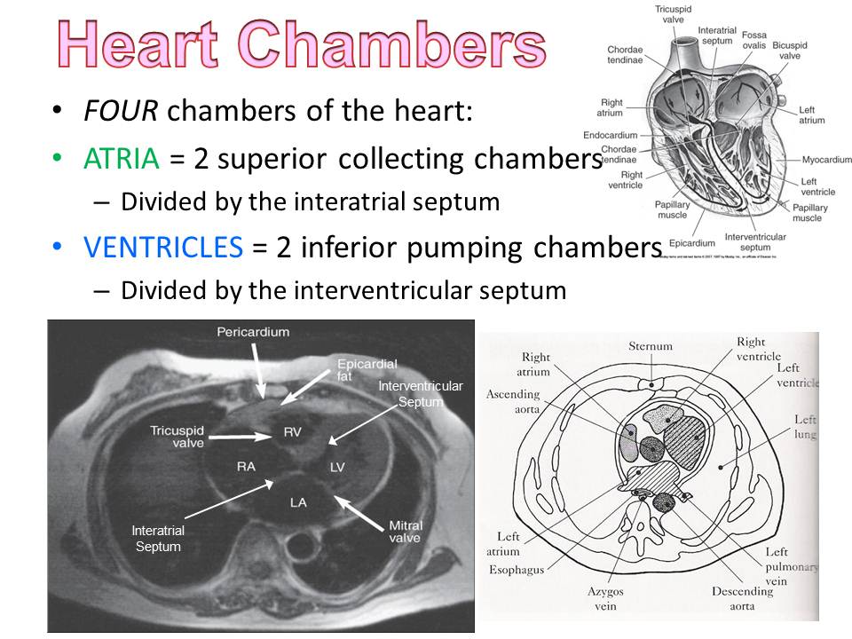 Slide11.JPG