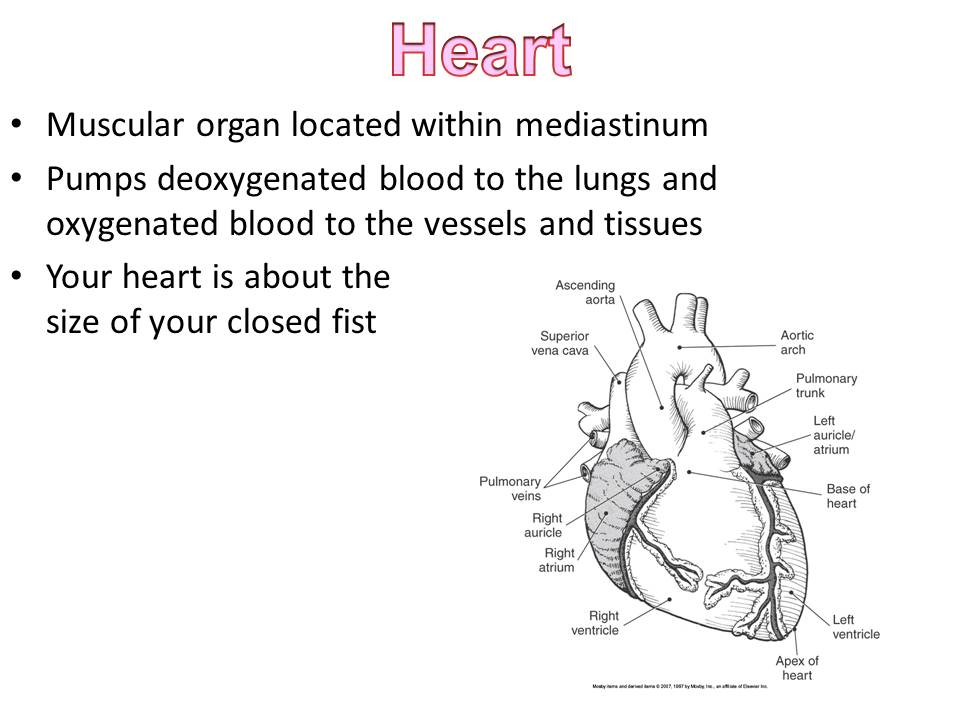 Slide2.JPG