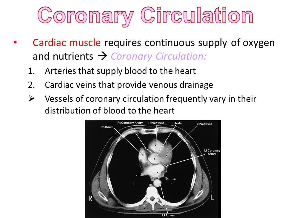 Slide22.JPG