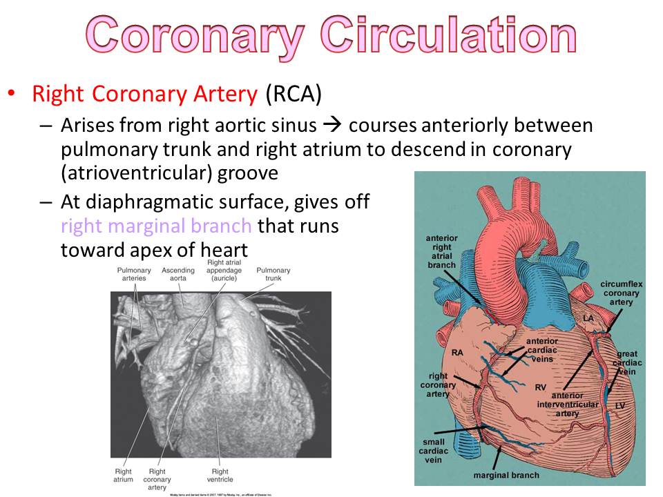 Slide24.JPG