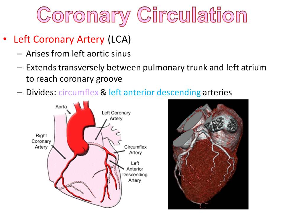 Slide27.JPG