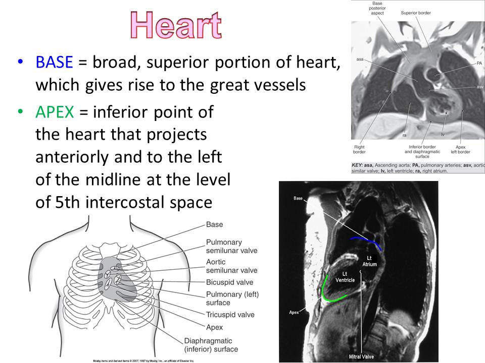 Slide8.JPG