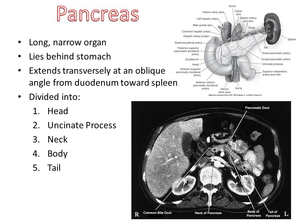 Slide3.JPG