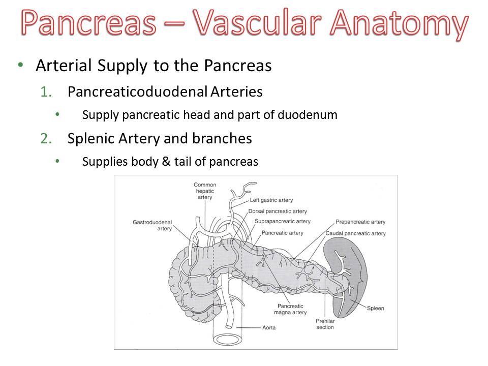 Slide9.JPG