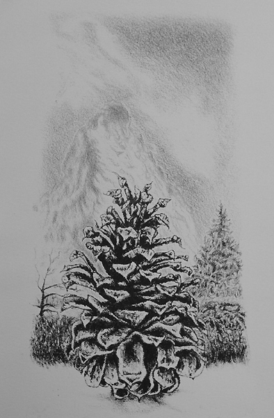 Pine cone Series , stone lithographs