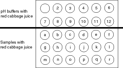 wellplate_ex8_revised.gif (6124 bytes)